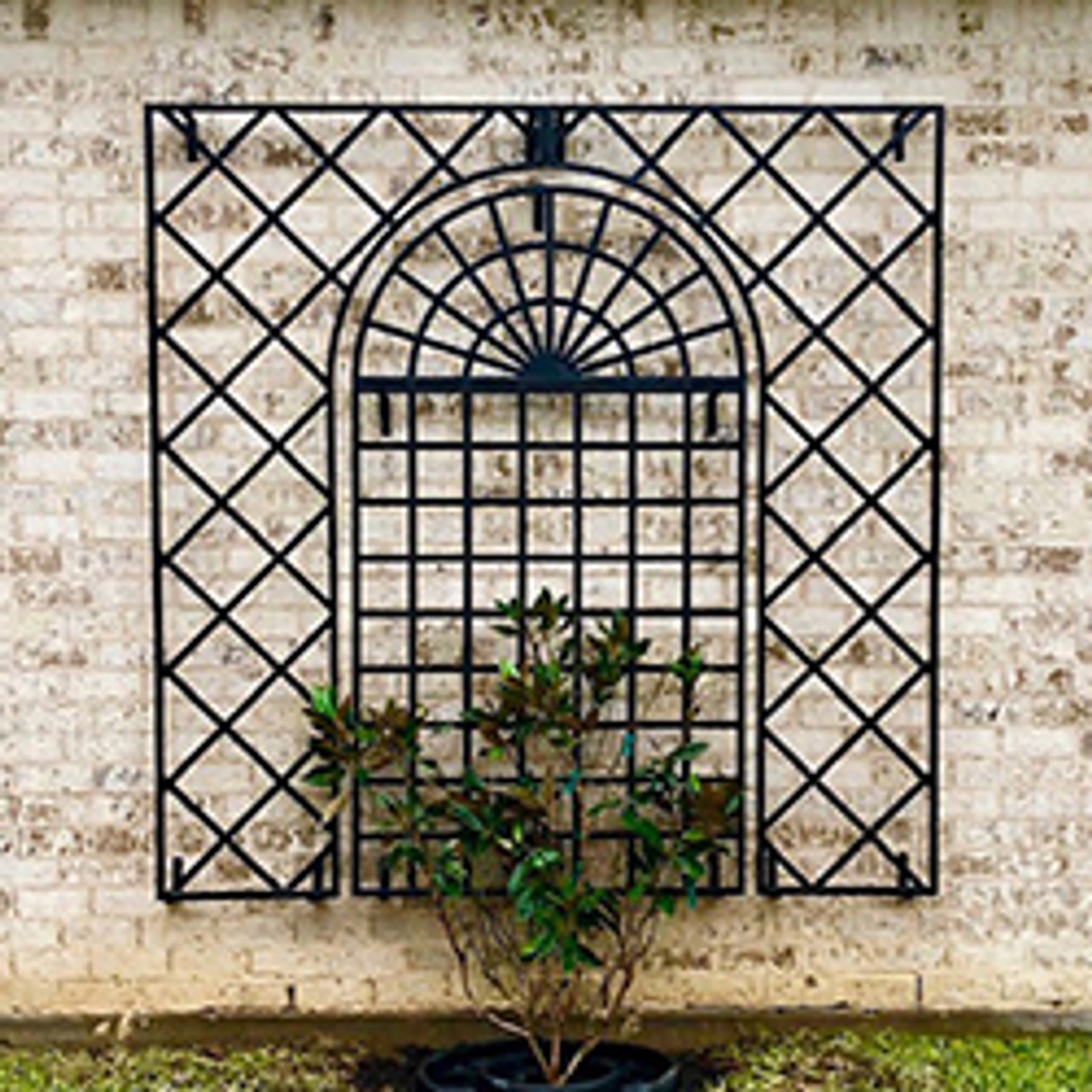 Garden Trellises & Wall Trellises